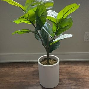 2’11 Faux Floor Plant 🪴